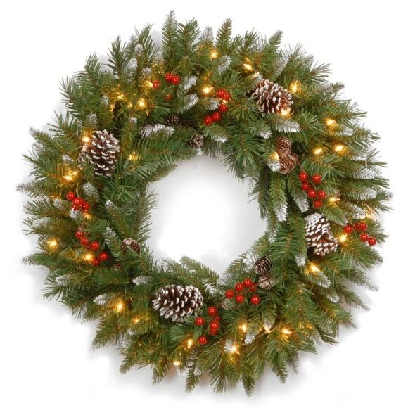 NATIONAL TREE COMPANY 24" Frosted Berry Wreath with 50 Clear Lights - Picture 1 of 3